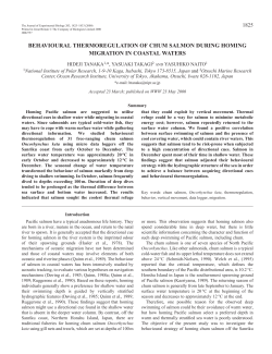 Behavioural thermoregulation of homing chum salmon