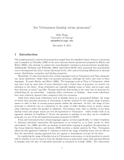 Are Vietnamese kinship terms pronouns?