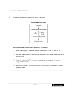 The diagram below shows a reaction that occurs in glycolysis. Which