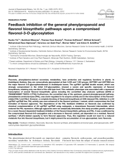 Feedback inhibition of the general phenylpropanoid and flavonol