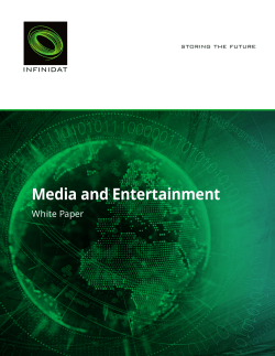 Media and Entertainment | INFINIDAT