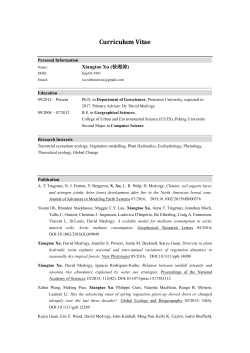 Curriculum Vitae