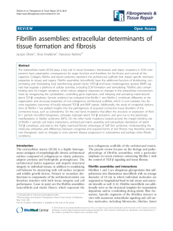 Fibrillin assemblies: extracellular determinants of tissue formation
