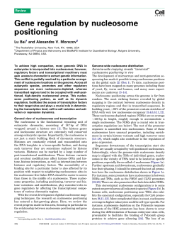 Gene regulation by nucleosome positioning