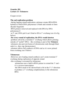 Genetics 301 Lecture 13 -Telomeres Cooper review The end