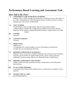 How Tall is the Tree?