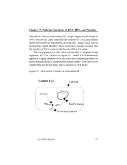 Chapter 9: Prebiotic Synthesis of RNA, DNA and Peptides