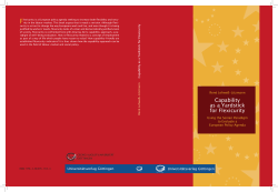 Capability as a Yardstick for Flexicurity