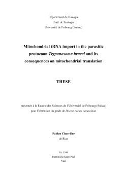 Mitochondrial tRNA import in the parasitic protozoon