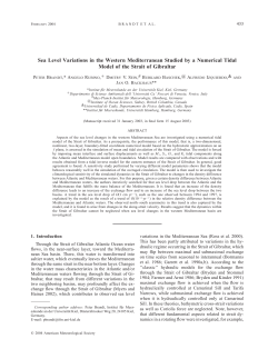 Sea Level Variations in the Western Mediterranean Studied by a