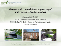 Genome and transcriptome sequencing of watermelon (Citrullus