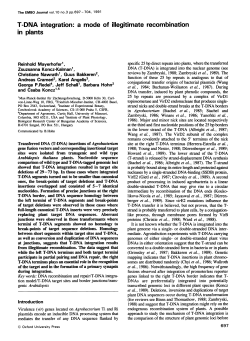 T-DNA integration: a mode of illegitimate recombination in plants