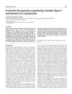A role for the spectrin superfamily member Syne