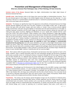 Prevention and Management of Boxwood Blight