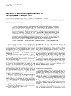 Expression of the Subunits of Protein Kinase CK2 During Oogenesis