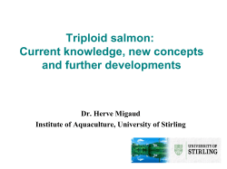 Triploid salmon - Salmotrip