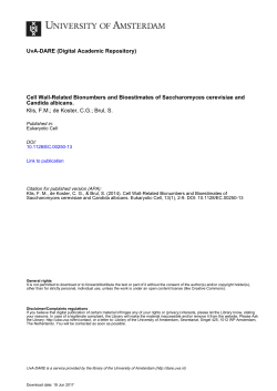Cell Wall-Related Bionumbers and Bioestimates of Saccharomyces