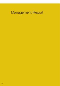 Management Report - Annual Reports