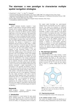 a new paradigm to characterize multiple spatial navigation strategies
