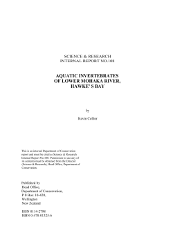 Aquatic invertebrates of lower Mohaka river Hawke`s Bay