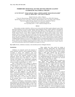 Inhibitory Potential of Nine Mentha Species against Pathogenic