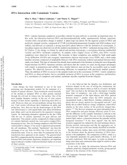 DNA Interaction with Catanionic Vesicles