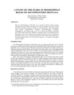 A STUDY OF THE FLORA IN MISSISSIPPIAN ROCKS OF