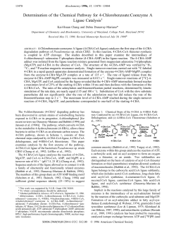 Determination of the Chemical Pathway for 4-Chlorobenzoate