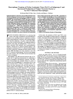 Macrophage Tropism of Feline Leukemia Virus