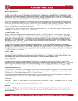 karyotyping faq - American Saddlebred Horse Association