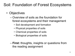 Soil: Foundation of Forest Ecosystems