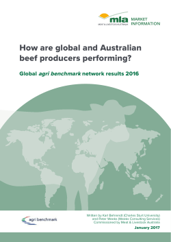 How are global and Australian beef producers performing?