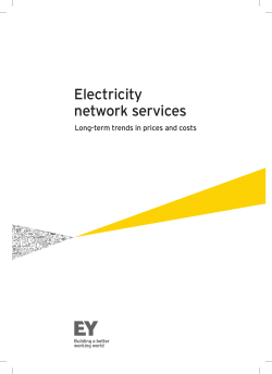 EY - Electricity network services