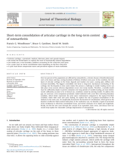 Short-term consolidation of articular cartilage in the long