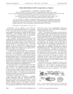 Elastic Rod Model of a DNA Loop in the Lac Operon