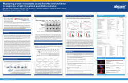 Monitoring protein movements to and from the mitochondrion in