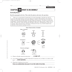CHAPTER WHAT IS AN ANIMAL?