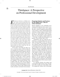 Thirdspace: A Perspective on Professional Development