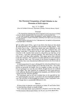 59 The Chemical Composition of Lipid Globules in the Neurones of