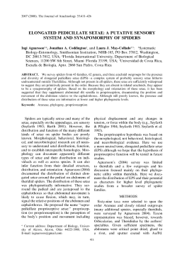 elongated pedicillate setae: a putative sensory system and