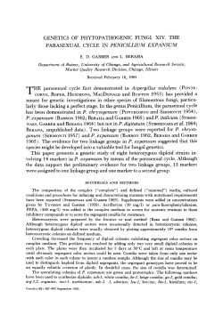 GENETICS OF PHYTOPATHOGENIC FUNGI. XIV. THE