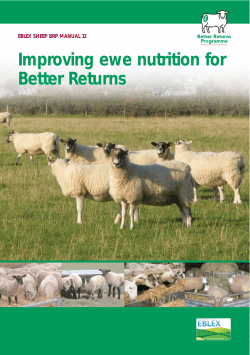 Ewe Nutrition