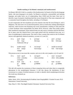 Double marking in Tai Khamti