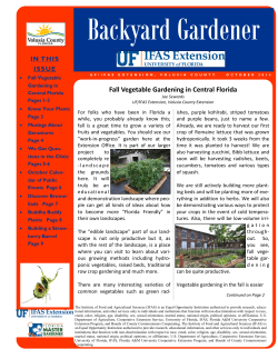 Fall Vegetable Gardening in Central Florida