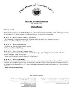 Rules and Reference Committee Referral Report