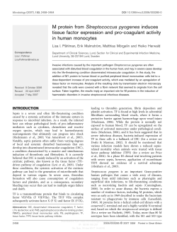 M protein from Streptococcus pyogenes induces tissue factor