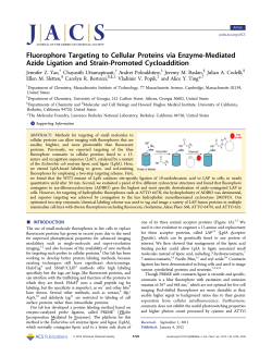Fluorophore Targeting to Cellular Proteins via Enzyme