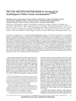 PECTIN METHYLESTERASE48 Is Involved in Arabidopsis Pollen