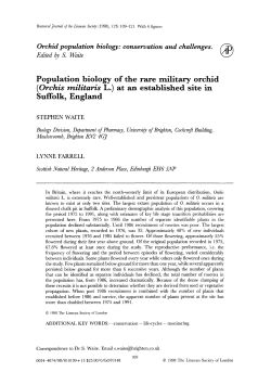 Population biology of the rare military orchid