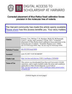Corrected placement of Mus-Rattus fossil calibration forces
